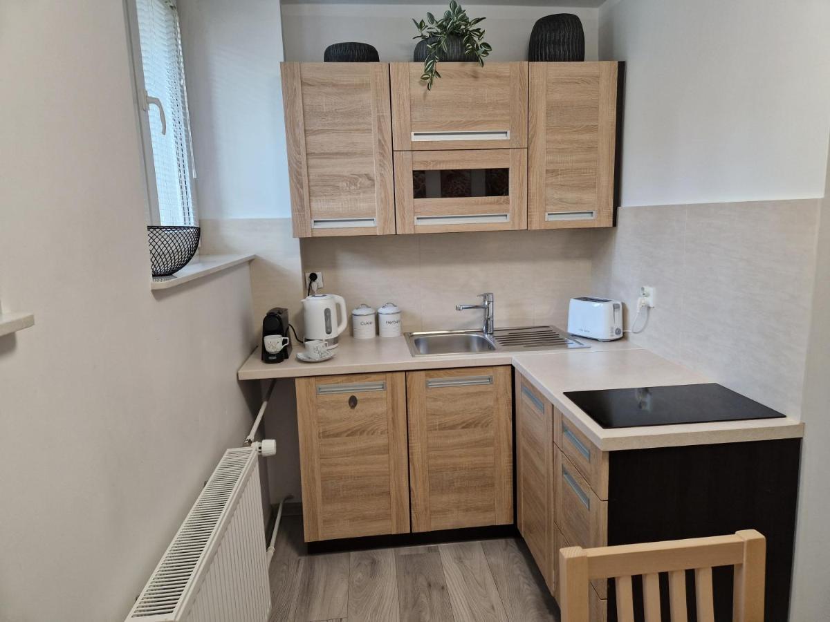 Apartament W Srodmiesciu Sanok Buitenkant foto